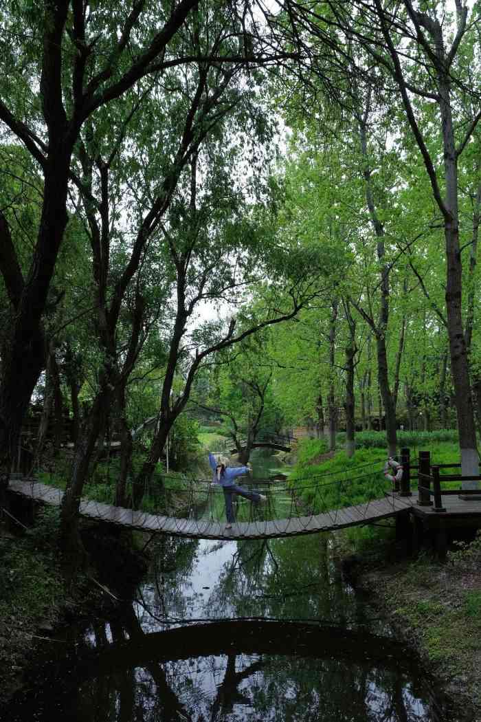 呼吸森林-"9999呼吸森林 99地理位置:苏州环."-大众点评移动版