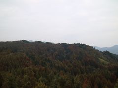 -山王坪喀斯特国家生态公园