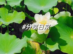 -黄兴公园