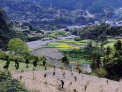 -芙蓉镇景区