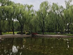 -玲珑塔公园