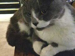 -MIKAKU(万达广场上海宝山店)