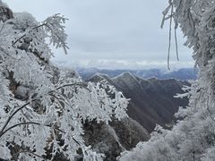 -洛阳白云山景区