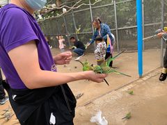 -呀路古热带植物园