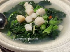 鲜贝柱浸农场菜心-小炳胜(卓悦中心店)