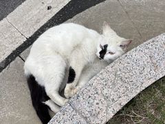 -昆承湖酒家·本帮农家菜