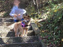 -郑州银基黄帝宫御温泉