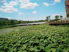 -河北工业大学(北辰校区)