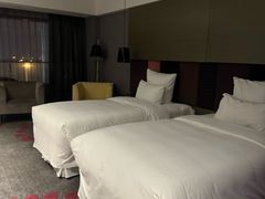 -南京禄口机场雅高铂尔曼大酒店