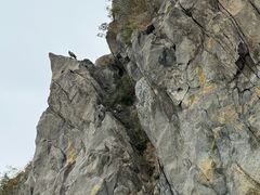 -北京鹫峰国家森林公园
