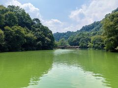 -青城山