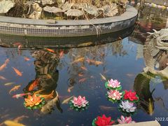 -上海东林寺(金山区)
