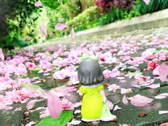 -新江湾城公园