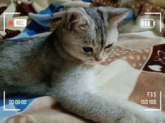 -猫宠乐园·专业洗护