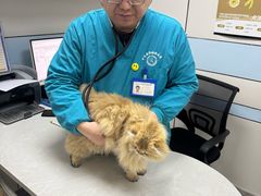 -中农国际动物医院24小时·猫科·骨科·急重症中心