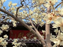 -灵谷景区