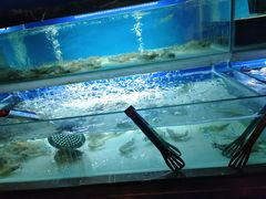 -喜庭海鲜自助(来福士店)