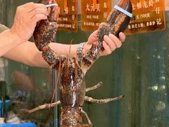 -朱仔记食府(江南大道店)