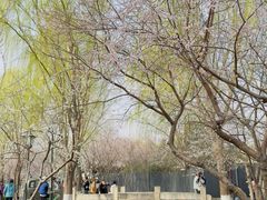 -春风习习