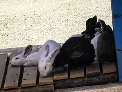 -博山九龙峪风景区