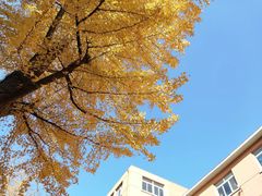 -大连理工大学(凌水校区)
