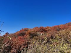 -北京西山国家森林公园