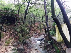 -兴福老面馆(寺路街店)