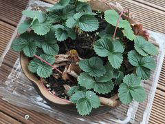 -院子餐厅·大锅菜·老杭帮(桥西直街店)