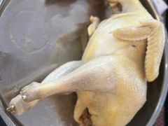 -芭厘农庄老字号·清远鸡