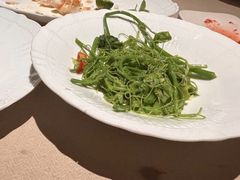 炝拌丝瓜尖-金鸭季·北京烤鸭(深业上城店)