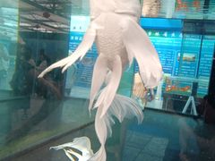 -长春农业博览园