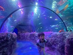 -沈阳海洋探索中心