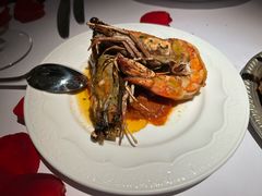 -壳里西餐厅Coquille Seafood Bistro(蒙自路店)