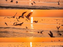 -老虎石海上公园