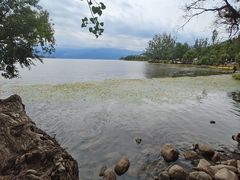 -西昌邛海湿地