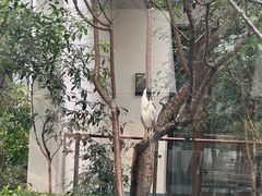 -广富林宰相府酒店·水云间