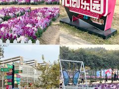 -盈香心动乐园