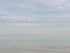 -深圳湾公园(南山区)