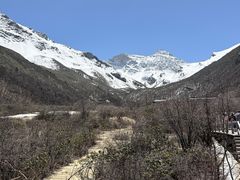 -黄龙山原始森林景区