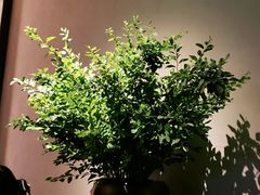 -山里亲戚(淞虹路店)