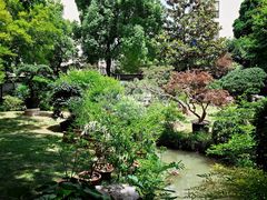 -上海醉白池公园