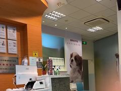 -瑞派申生动物医院·24H夜诊·国际动物医疗中心·骨外科(吴中路店)