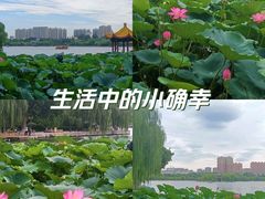 -济南大明湖景区
