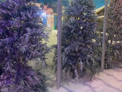 -世界之窗阿尔卑斯冰雪世界