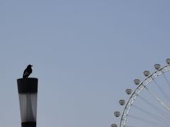 -石家庄市植物园