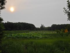 -东郊湿地公园