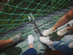 -梦幻奥陶纪景区