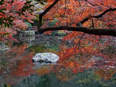 -醍醐寺
