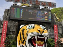 -栾川竹海野生动物园