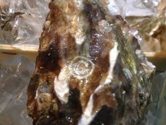 -Oyster Talks 四度蚝法餐厅